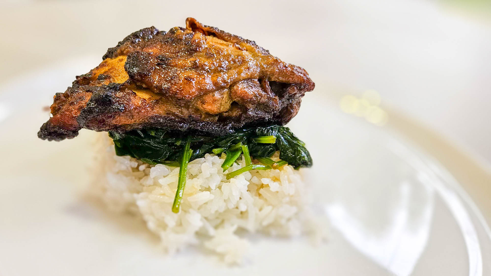 Plated chicken over rice and greens